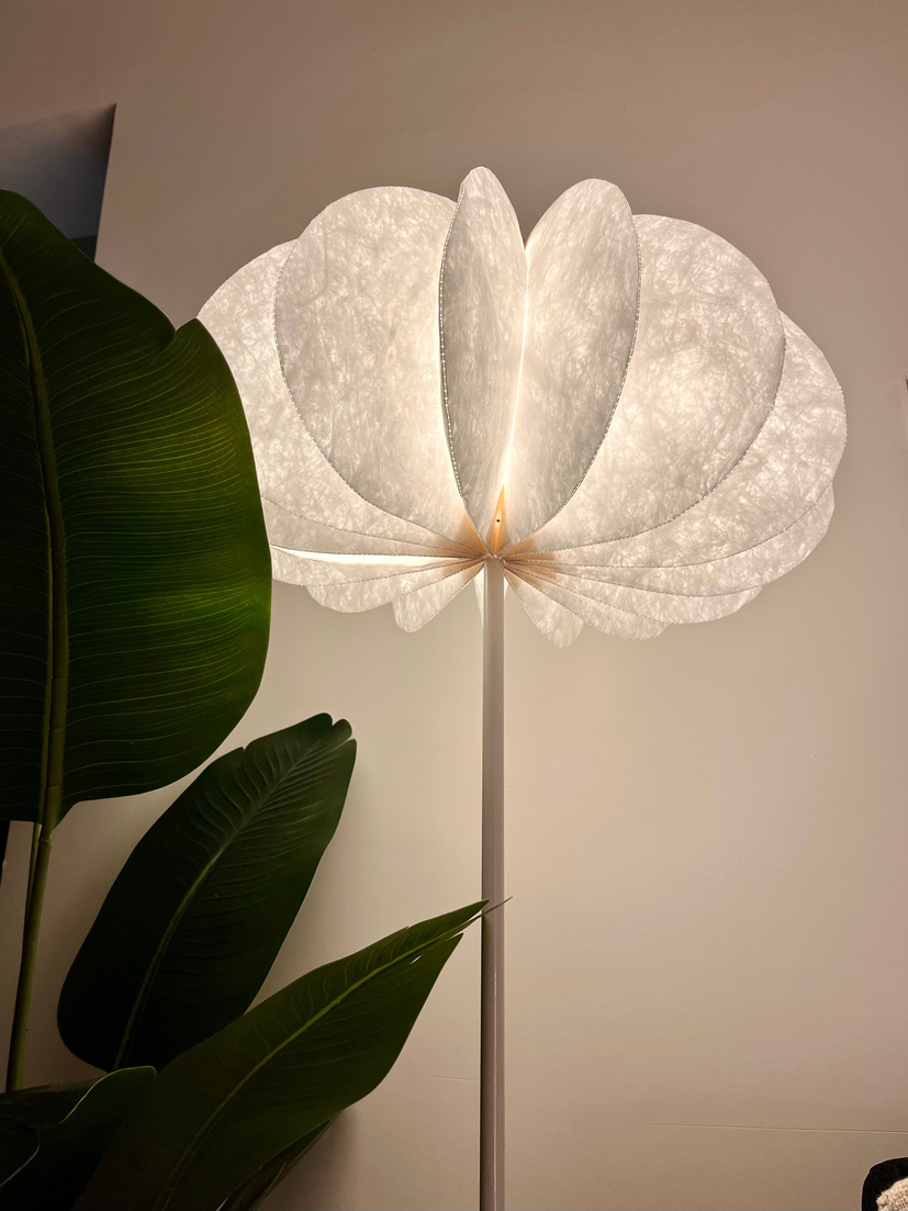 Fig Living flower lamp with plant